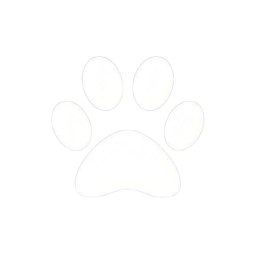 Theme Toggle Icon